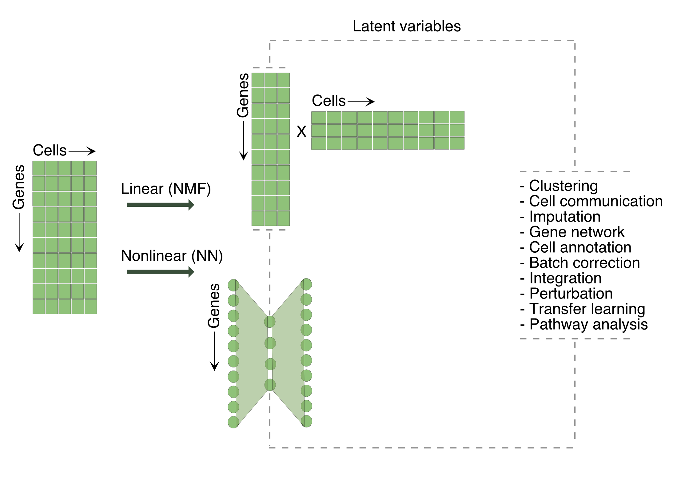 lvm image