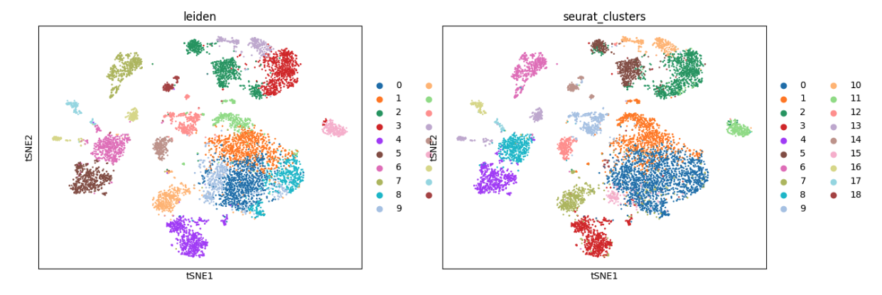 Compare labels to seurat result