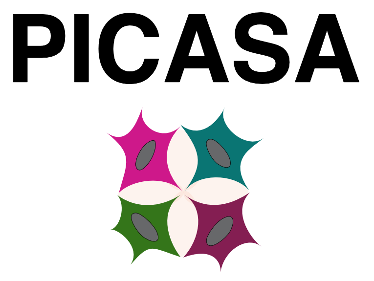 picasa.png